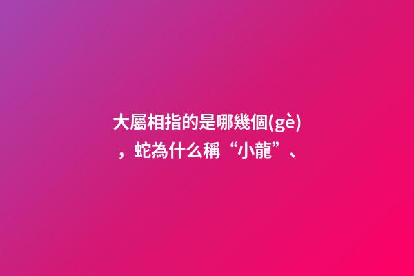 大屬相指的是哪幾個(gè)，蛇為什么稱“小龍”、